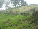 Residential lot For Sale in Mandeville, Manchester Jamaica | [7]