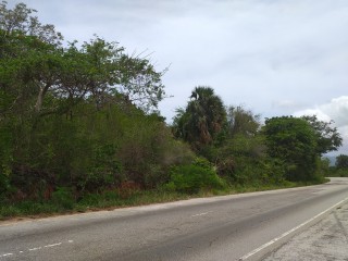 Commercial land For Sale in Spur Tree, Manchester Jamaica | [1]