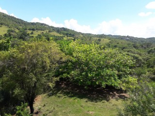 Residential lot For Sale in Lacovia, St. Elizabeth Jamaica | [4]