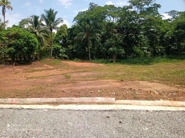 Residential lot For Sale in Linstead, St. Catherine Jamaica | [12]