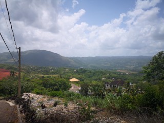 Residential lot For Sale in Mandeville, Manchester, Jamaica