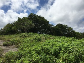 Residential lot For Sale in Chippenham Park Bamboo, St. Ann Jamaica | [5]