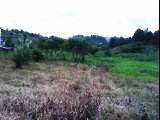 Commercial/farm land For Sale in Christiana, Manchester Jamaica | [1]