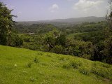  For Sale in Morgans Valley, Clarendon Jamaica | [2]