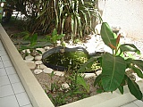 Apartment For Sale in Surbiton Road near Waterloo Road, Kingston / St. Andrew Jamaica | [10]
