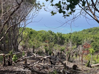 Land For Sale in Montego Bay, St. James, Jamaica