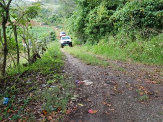 Commercial/farm land For Sale in Carton Estate Off road leading from Claremont to Lime Hall, St. Ann Jamaica | [5]