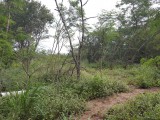 Commercial/farm land For Sale in Hartlands, St. Catherine Jamaica | [3]