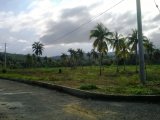 Residential lot For Sale in WhiteHall, St. Mary Jamaica | [1]