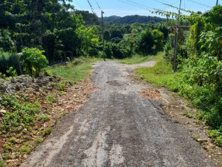 Commercial/farm land For Sale in Kensington Sligoville, St. Catherine Jamaica | [7]