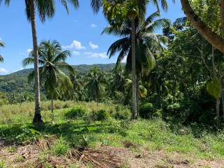 Land For Sale in Guys Hill, St. Mary Jamaica | [6]