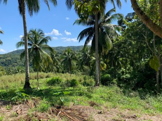 Land For Sale in Guys Hill, St. Mary, Jamaica