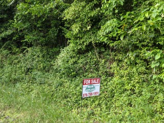 Residential lot For Sale in Red Hills, Kingston / St. Andrew Jamaica | [7]