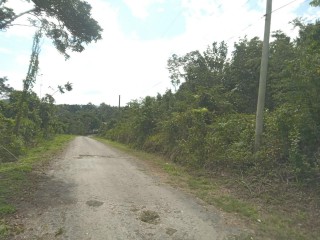 Commercial/farm land For Sale in Browns Town, St. Ann Jamaica | [5]
