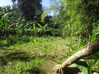 Commercial/farm land For Sale in Glengoffe, St. Catherine Jamaica | [9]