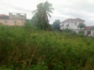 Residential lot For Sale in Green Acres, St. Catherine Jamaica | [1]