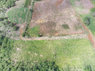 Residential lot For Sale in Southfield, St. Elizabeth Jamaica | [5]