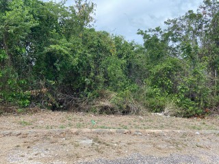 Residential lot For Sale in Duncans, Trelawny Jamaica | [9]