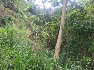 Residential lot For Sale in Jacks Hill, Kingston / St. Andrew, Jamaica