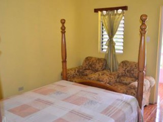 House For Rent in Ocho Rios Jamaica, St. Ann Jamaica | [9]