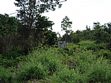 Residential lot For Sale in Hopeton Mandeville, Manchester Jamaica | [2]