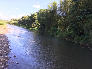 Commercial/farm land For Sale in Bath, St. Thomas Jamaica | [11]