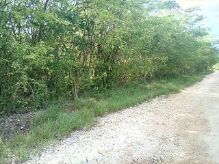 Land For Sale in Goshen, St. Elizabeth Jamaica | [1]