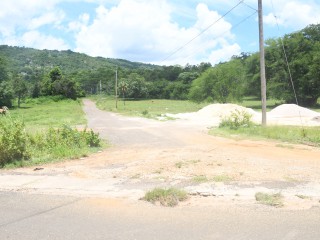 Residential lot For Sale in Santa Cruz, St. Elizabeth Jamaica | [2]