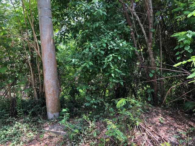 Land For Sale in SmokeyVale, Kingston / St. Andrew Jamaica | [7]