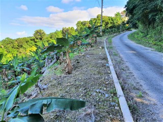 Residential lot For Sale in Cardiff Hall, St. Ann, Jamaica