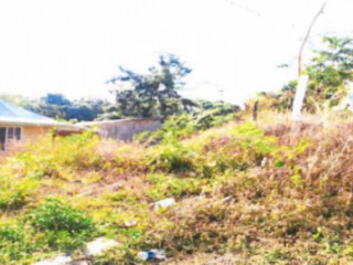 Residential lot For Sale in Negril, Westmoreland, Jamaica