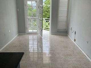 Apartment For Rent in New Kingston, Kingston / St. Andrew Jamaica | [12]