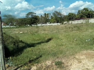 Commercial/farm land For Sale in Maypen, Clarendon Jamaica | [1]