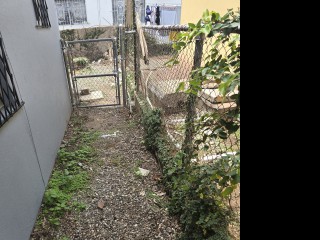 House For Rent in Three Oaks Garden, Kingston / St. Andrew Jamaica | [8]