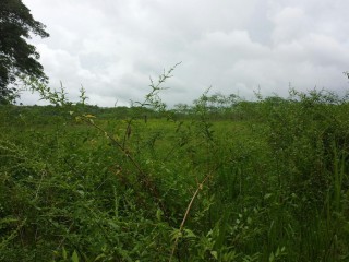 Commercial/farm land For Sale in Rock River, Clarendon Jamaica | [2]