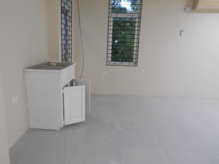 Commercial building For Rent in New Kingston, Kingston / St. Andrew Jamaica | [9]