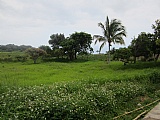 House For Rent in Southfield, St. Elizabeth Jamaica | [10]