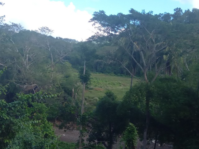 Commercial/farm land For Sale in Rock River, Clarendon Jamaica | [7]