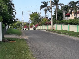 Residential lot For Sale in Cardiff Hall, St. Ann, Jamaica