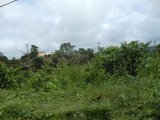 Residential lot For Sale in Mandeville Manchester, Manchester Jamaica | [2]