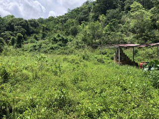 Commercial/farm land For Sale in Dover Castle Redwood St Catherine, St. Catherine, Jamaica