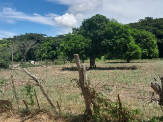 Residential lot For Sale in The Vineyards, St. Catherine, Jamaica