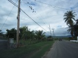 Commercial/farm land For Sale in Rhymesbury, Clarendon Jamaica | [6]