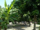 House For Rent in HUGHENDEN, Kingston / St. Andrew Jamaica | [8]