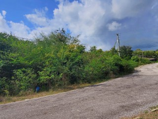 Land For Sale - May Pen, Clarendon, Jamaica