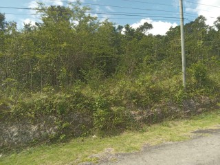 Residential lot For Sale in Browns Town, St. Ann Jamaica | [12]