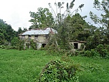 Commercial/farm land For Sale in Friendship near Ocho Rios, St. Ann Jamaica | [3]