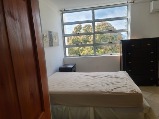 Apartment For Rent in Oxford Road, Kingston / St. Andrew Jamaica | [6]