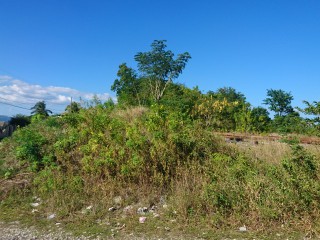 Residential lot For Sale in Bybrook, St. Elizabeth Jamaica | [5]