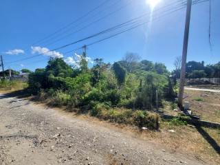 Residential lot For Sale in Albion Estate, St. Thomas, Jamaica